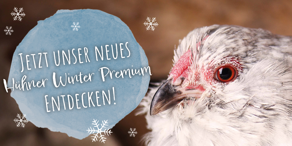 Entdeckt unser neues Hühner Winter Premium! - 